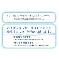 ビーブランド・メディコーデンタル ハイザックRスプレー 24-8035-00 1セット(5本)