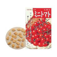 アーテック 野菜の種 ミニトマト 2733 1箱 61-6010-99（直送品）
