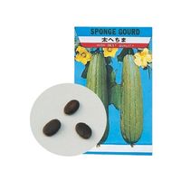 アーテック 野菜の種 ヘチマ 2736 1箱 61-6011-02（直送品）
