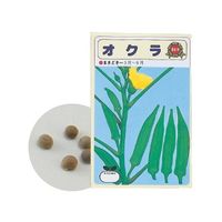アーテック 野菜の種 オクラ 2739 1箱 61-6011-05（直送品）
