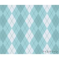 カワムラサイクル 軽量車いす ふわりすシリーズ アイスグリーン KF22-40SB No.105 1台 7-5491-03（直送品）