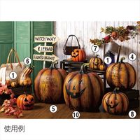 ストア・エキスプレス　パンプキンオブジェ フェイス L 8808-60（直送品）