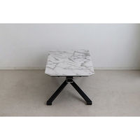 【軒先渡し】東馬 マーブ 昇降テーブル 幅1100×奥行600×高さ360～740mm ホワイト 54670590 1台（直送品）