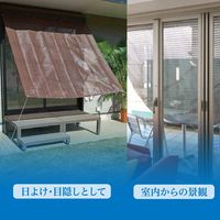 山善（YAMAZEN） 涼風シェード BRGS-2020（CB） 1点