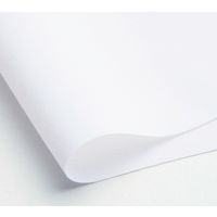 カーシーカシマ ブラウス ホワイト 11号 EWB755-11_11 1着