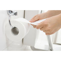 大王製紙 エルヴェールトイレットティシューシングル170m6R(芯なし) 723282 1箱(8パック入)