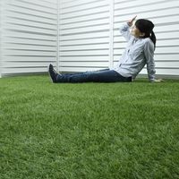 YAMAZEN 人工芝（防草シート）1×5m　長芝　PS7B-B3515(GR) PS7B-B3515(GR) 1台