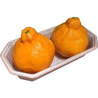 パックスタイル WB麦バガスフルーツトレー 2M 615415 1包：1000枚（50×20）（直送品）