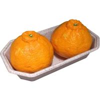 パックスタイル WB麦バガスフルーツトレー 2L 615417 1包：1000枚（50×20）（直送品）