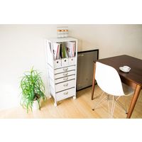 宮武製作所 MOLT（モルト） チェスト 幅390×奥行275×高さ995mm ホワイト SH-1226_WH 1個（直送品）