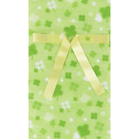 キングコーポレーション 不織布巾着袋（リボン付） M 2枚入×10パック KK0077（直送品）