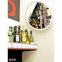 ストア・エキスプレス フレキシブル防犯ミラー 固定式 直径45cm 5911-32（直送品）