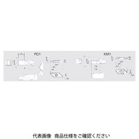 日本特殊陶業 TAチップ GTPA25FRN01 KM1 GTPA25FRN01KM1 1セット(10個)（直送品）