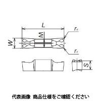 日本特殊陶業 TAチップ GWPM300N04DーGW DM4 GWPM300N04D-GWDM4 1セット(10個)（直送品）