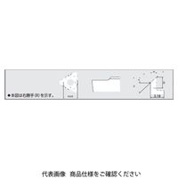 日本特殊陶業 TAチップ TBMH32100R05ー45 ZM3 TBMH32100R05-45ZM3 1セット(10個)（直送品）