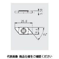 日本特殊陶業 TAチップ CTPA20FLKV KM1 CTPA20FLKVKM1 1セット(10個)（直送品）