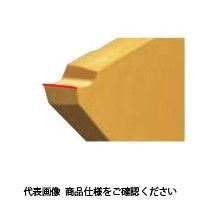 日本特殊陶業 TAチップ CTP20FRNX ZM3 CTP20FRNXZM3 1セット(10個)（直送品）