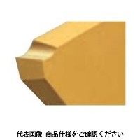 日本特殊陶業 TAチップ CTP20FL ZM3 CTP20FLZM3 1セット(10個)（直送品）