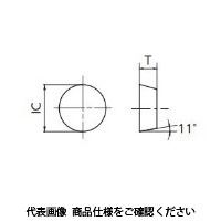 日本特殊陶業 TAチップ RPGN120400T00525 SX9 RPGN120400T00525SX9 1セット(10個)（直送品）