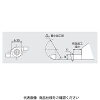 日本特殊陶業 TAチップ FGV150LB00D6 TM4 FGV150LB00D6TM4 1セット(10個)（直送品）