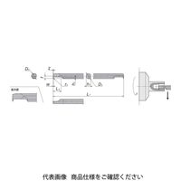 日本特殊陶業 TAチップ SBG040100RBーS ZM3 SBG040100RB-SZM3 1個（直送品）