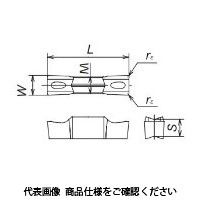 日本特殊陶業 TAチップ GWPG600N02GーGV DM4 GWPG600N02G-GVDM4 1セット(10個)（直送品）
