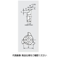 日本特殊陶業 TAチップ GTG10100FL005 TM4 GTG10100FL005TM4 1セット(10個)（直送品）