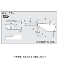 日本特殊陶業 TAチップ TBPS60FRV ZM3 TBPS60FRVZM3 1セット(10個)（直送品）
