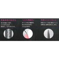 西脇工業 ブラックオーディン歯ブラシふつう 4904453551538 1セット(1本×24)（直送品）