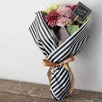 ヘッズ フィエルテストライプOPPロール-1 FIE-RO1（直送品）