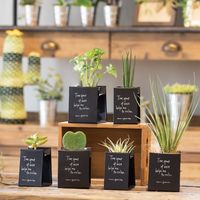 ヘッズ リラックスライフブリキスタンド-2 REL-BS2 6個（直送品）