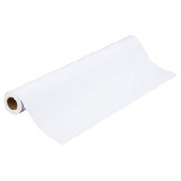 アスクル　プロッタ用紙　ロール紙　　カラーコート紙A0　1箱（2本入）　  オリジナル（わけあり品）