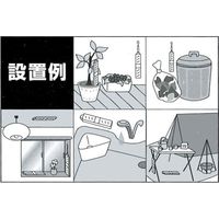 SHIMADA ムシペッタ 4964283105059 1セット(1個×6)