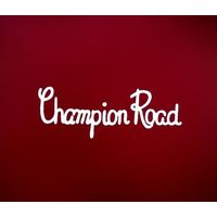 横山サドルカバー商会 フロントバスケットカバー マモール L シルバー 4510676914038（直送品）