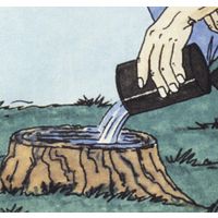 Cadie Products Corporation スタンプ・アウト2個組 53354（直送品）