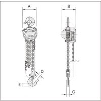 チェーンホイスト OCH-025 オーエッチ工業（直送品）