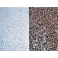 デイトナ ガソリンタンク錆取り剤&コーティング 36017（直送品）