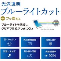 ナカバヤシ iPadAir2019用ブルーライトカット液晶保護フィルム TBF-IPA19FLKBC（直送品）