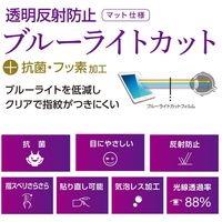ナカバヤシ iPadAir2019用反射防止/ブルーライトカット液晶保護フィルム TBF-IPA19FLGCBC（直送品）