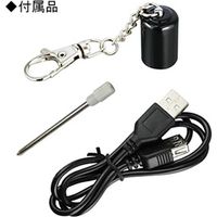 小型防犯カメラ ペン型 P122* オンスクエア（直送品）