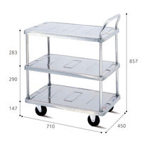 ダンディステンレスミドル SM-BT3 花岡車輌（直送品）