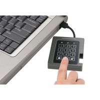 Apricorn Aegis Padlock SSD - USB 3.0 ASSD-3PL256-240F（直送品）