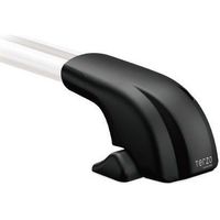 テルッツオ（TERZO） ベースキャリア 【ベースフット】 ルーフオンタイプ EF100A（直送品）