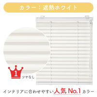 【1cm単位】プロ仕様ブラインド幅62cm×高114cm＜遮熱タイプ＞ ctb835-62x114r48 1セット トーソー（直送品）