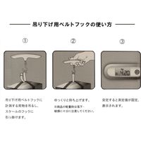 ビッグマン デジタルハンギングスケール 50kg(取引証明以外用) BDS-H50K 1個