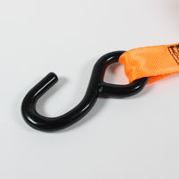 ビッグマン BM ラチェット式荷締機2P 5m TDー06 1個