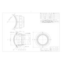 前澤化成工業 前澤 HLSE100R-200 排水継手 ホルソー受口 2323166（直送品）