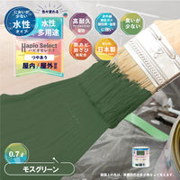 ハピオセレクト モスグリーン 0.7L #00017655081007 カンペハピオ（直送品）