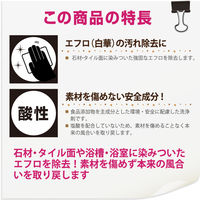 カンペハピオ 復活洗浄剤 エフロ用 1L #00017660061010 1個