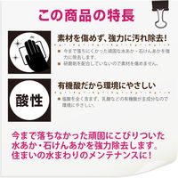 カンペハピオ 復活洗浄剤 トイレ陶器クリーナー 100ML #00017660132100 1個